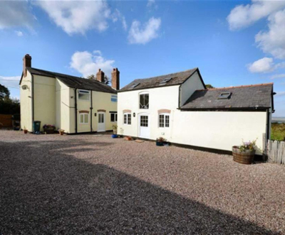 Meadow view kennels deals